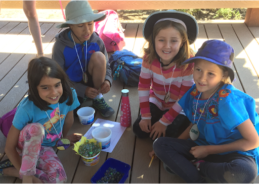 building bird nests